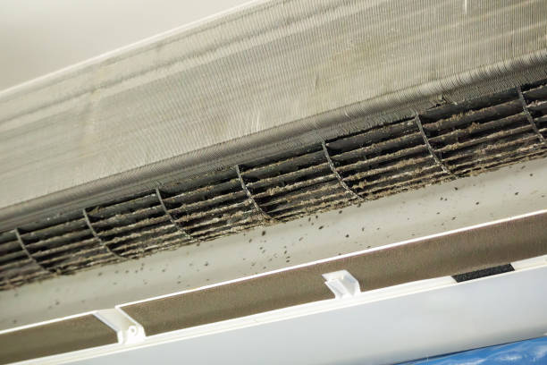 Best Local Air Duct Cleaning Services  in Baldn, WI